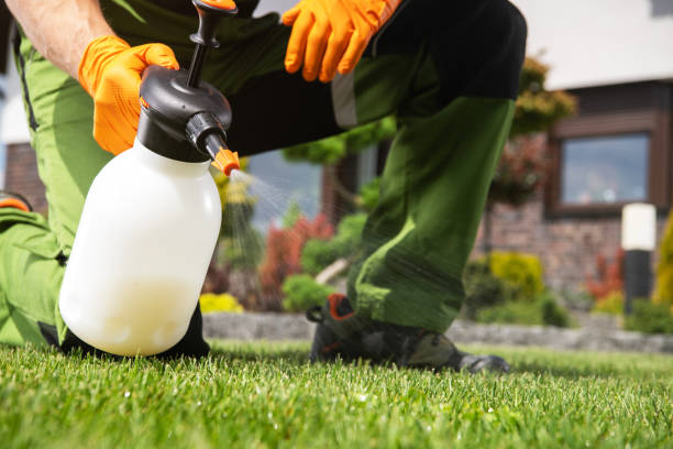 Pest Prevention Services in Clinton, MO
