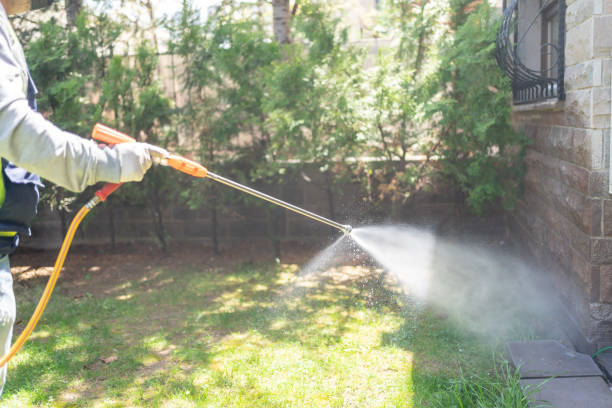 Best Local Pest Control Services  in Clinton, MO