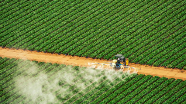 Best Ant Control Services  in Clinton, MO