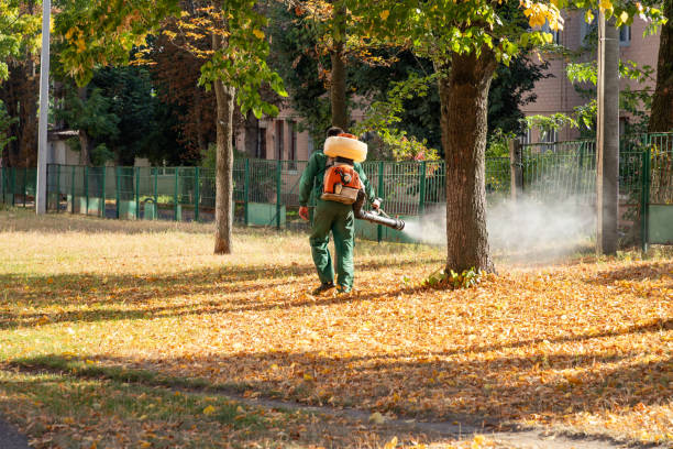 Best Exterminator Services  in Clinton, MO
