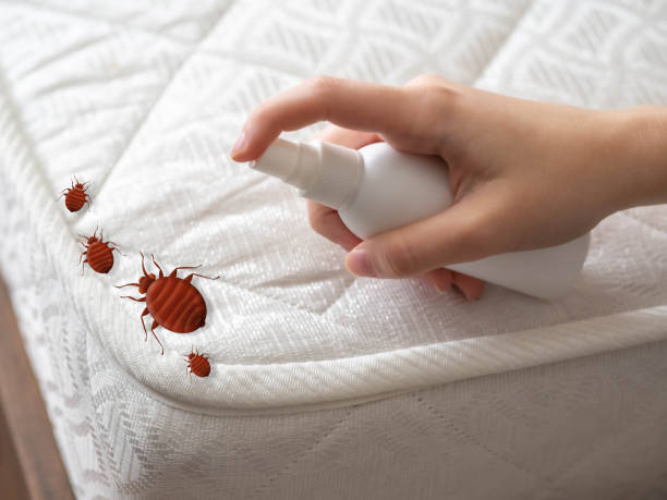 Best Pest Prevention Services  in Clinton, MO
