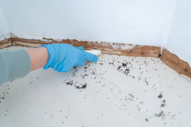 Best Wildlife Control Services  in Clinton, MO