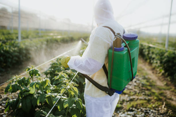Best Residential Pest Control  in Clinton, MO